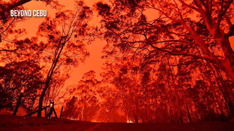 Australia Bushfire: How we can help