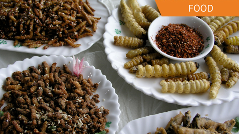 Insects for food Suggested by the U.N.