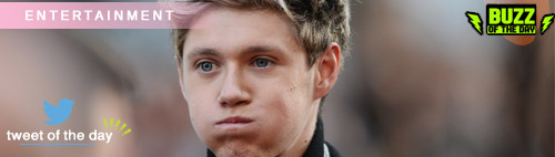Niall Horan is in a New Boy Band