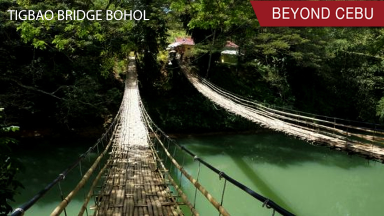 Bohol hanging bridge among 'world's most spectacular'