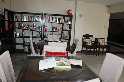 mini-library